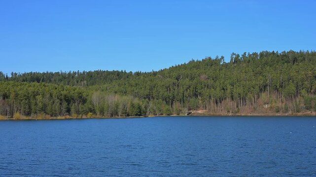 See mit bewaldetem Ufer unter einem klaren, blauen Himmel, Enderndorf am See, Gro&szlig;er Brombachsee, Fr&auml;nkischen Seenland, Landkreis Wei&szlig;enburg-Gunzenhausen, Mittelfranken, Bayern, Deutschland