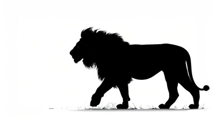 Obraz premium Black lion silhouette walking on plain white background.