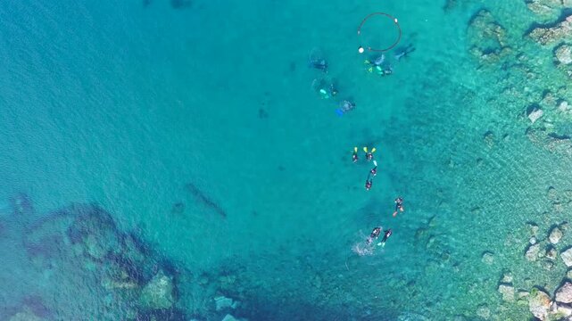Aerial Drone View of Scuba Divers Training in Crystal Clear Coastal Waters of Puerto del Carmen Lanzarote