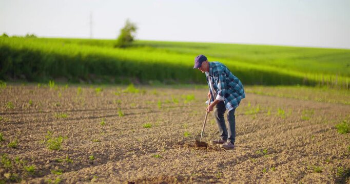 Farmer hoeing dry soil in a rural field
