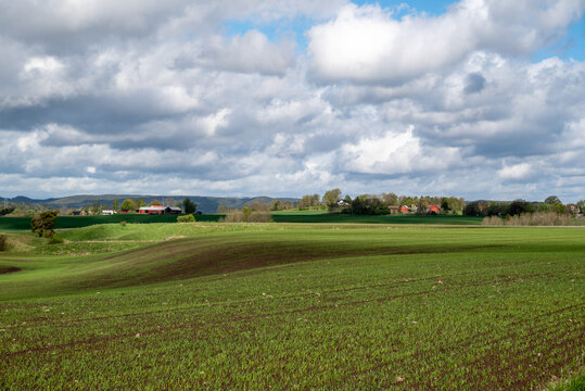 Autumn sowing is picking up speed in early summer on rolling fields in southern Sweden, with rain clouds in the sky above.