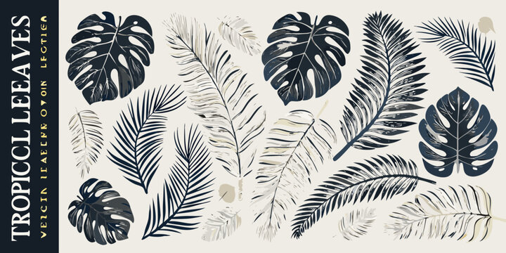 Tropical leaves vector illustration collection grayscale and beige tones