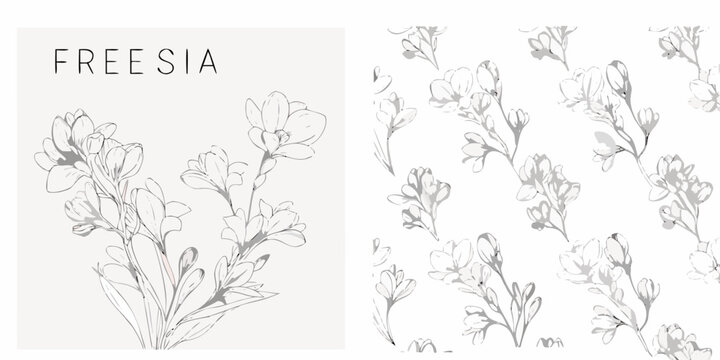 Freesia flower collection hand drawn vector illustration with a light gray palette
