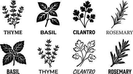 Culinary herbs black silhouette vector icon set featuring basil thyme cilantro and rosemary isolated on white background © Saminur