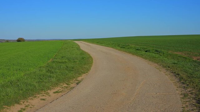 Langer, gerader Feldweg zwischen gr&uuml;nen Feldern unter einem weitl&auml;ufigen blauen Himmel, Ergersheim, Landkreis Neustadt an der Aisch-Bad Windsheim, Mittelfranken, Bayern, Deutschland