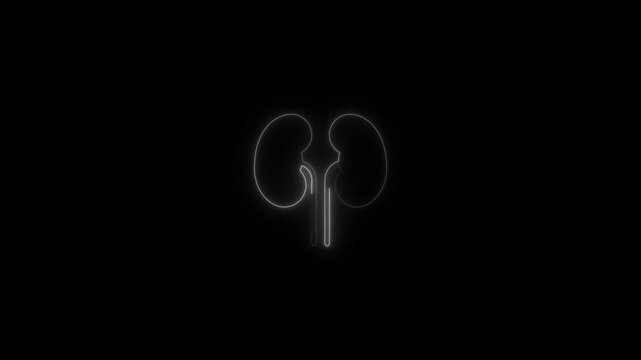 White glowing human kidney icon minimalist medical symbol a outline of a organ isolated on a solid black background organ anatomy health biology science organ anatomy health biology science