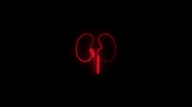 Red glowing human kidney icon minimalist medical symbol a outline of a organ isolated on a solid black background organ anatomy health biology science organ anatomy health biology science