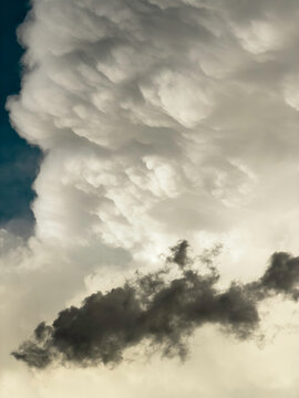 A dark, ragged cloudlet drifts in front of a cumulonimbus cloud with pouch-like formations that reflect sunlight at golden hour on a May evening in southwest Florida. Motifs of weather phenomena.