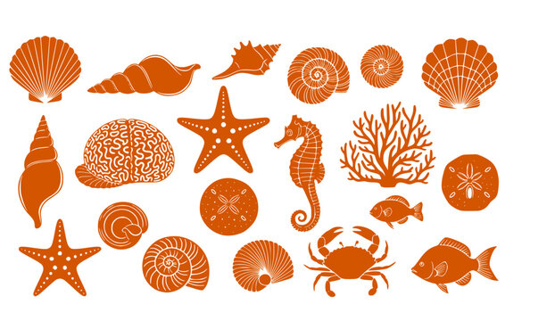 Sea shells, starfish, corals, and sand dollar silhouettes, marine life vector icons, ocean nature illustration, beach elements collection, underwater wildlife design 
