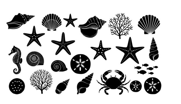 Sea shells, starfish, corals, and sand dollar silhouettes, marine life vector icons, ocean nature illustration, beach elements collection, underwater wildlife design 