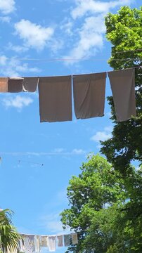 Fresh laundry on clotheslines drying in sun and breeze beneath a clear blue sky with white clouds, framed by lush green trees