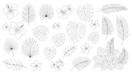 Tropical leaves and flowers vector sketch element set monstera hibiscus plumeria palm foliage line art exotic nature illustration © Sakhawat Hossen 