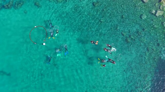 Aerial Drone View of Scuba Divers Training in Crystal Clear Coastal Waters of Puerto del Carmen Lanzarote