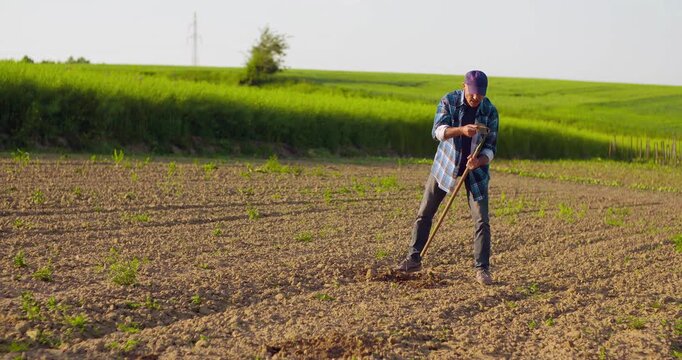 Farmer tending a cultivated field with hand tool