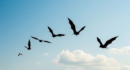Obraz premium Bat Silhouettes Flying Across Blue Sky with Clouds