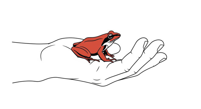 Red frog on human hand palm.