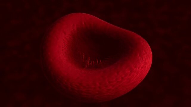 Sickle Cell Anemia Hemoglobin Polymerization Microscopic 3D Render Animation Loop