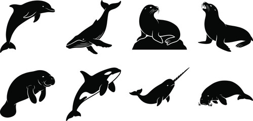 Collection of black marine animal silhouettes featuring dolphin, whale, seal, orca, narwhal, and manatee for graphic design © Designer Arif