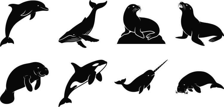 Collection of black marine animal silhouettes featuring dolphin, whale, seal, orca, narwhal, and manatee for graphic design