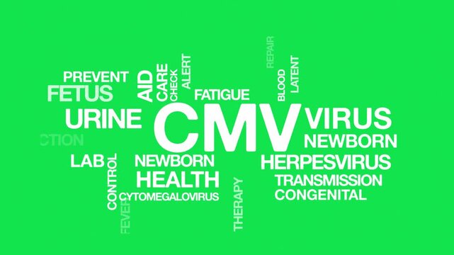 Cytomegalovirus CMV  concept Animated Tag Word Cloud kinetic typography, Text Design Animation typography seamless loop video motion graphics Intro Wordart arrangement green screen background bg backd
