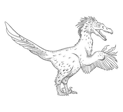 Velociraptor dinosaur vintage engraved realistic detailed illustration