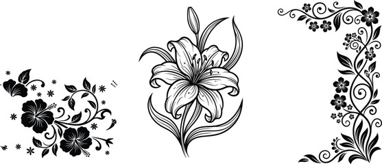 Black and white floral vector elements set featuring lily sketch hibiscus corners and elegant vine borders for design decoration © MdShahadot