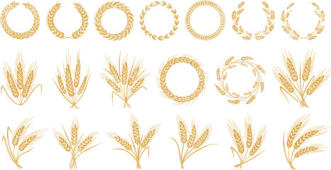 Wheat Ears and Barley Wreath Vector Set Featuring Golden Agriculture Sheaves and Cereal Grain Frames for Bakery and Farming Branding Designs © MdGohurul