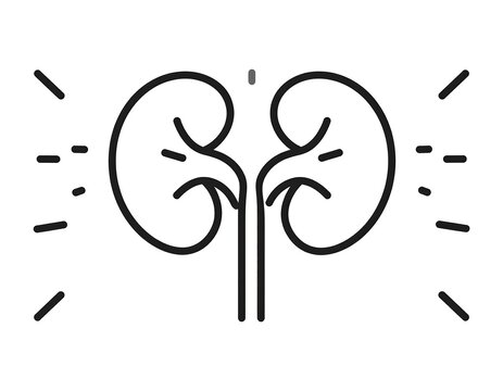 Graphic rendering of two symmetrical kidney-shaped structures connected with linear lines. Stylized with radial bursts
