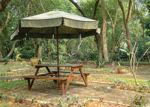 Wooden picnic table with an umbrella in a forest park, surrounded by trees and natural scenery, providing an outdoor recreation and relaxation area.
