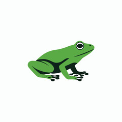 Fototapeta premium Stylized vector illustration of a small green frog sitting calmly featuring bold shapes and clean lines for modern graphic designs