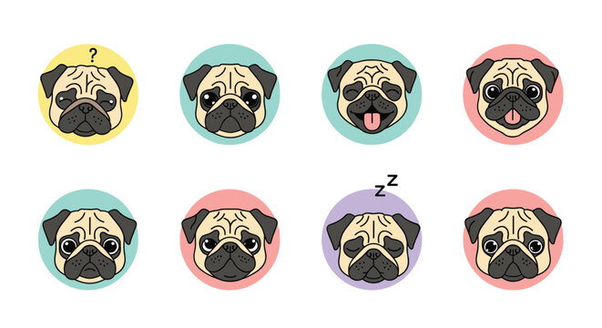 Set of eight colorful pug dog face icons showing various expressions like thinking happy sleeping and neutral on colored circles.