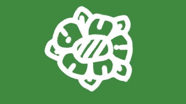 Ecological blossom hand-drawn cartoon graphic with chalk outline bio tech plant core icon isolated on green screen background for school classroom science education line art element concept.