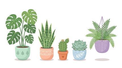 Fototapeta premium Collection of Potted Houseplants in Various Decorative Pots.