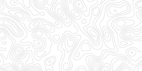 Topographic map background geographic line map with elevation assignments. Modern design with White background with topographic wavy pattern design.paper texture Imitation of a geographical map shades © Sajjad