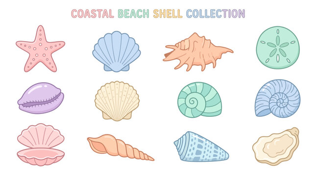 Collection of Diverse Seashells and Starfish on White Background.