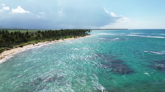 4k 30 fps Caribbean beach drone shoot with plams trees 7