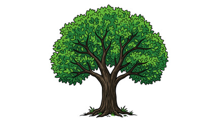 Obraz premium Stylized vector illustration of a lush green tree with a thick trunk and abundant foliage perfect for nature themed designs