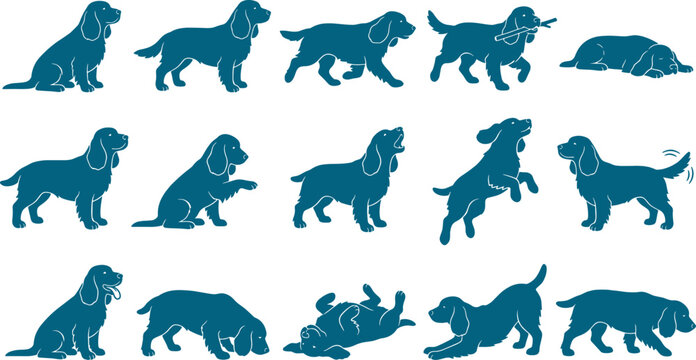 Bundle of spaniel dog silhouettes showing various hunting and domestic pet behaviors and poses