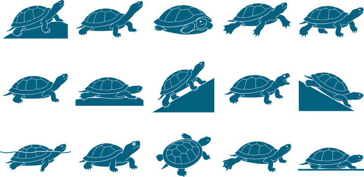 Set of turtle silhouettes illustrating different species and movements of tortoises and sea turtles