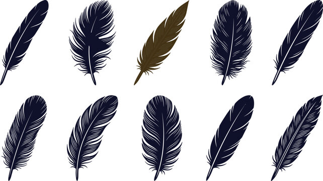 Vintage bird feather vector silhouette set with unique brown quill symbol isolated on white background