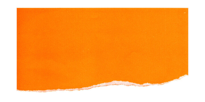 Orange rectangular shape with rounded corners on plain background isolated on white background