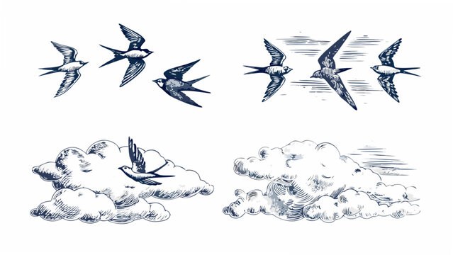 Flying Swallows And Clouds A Vintage style Engraving Illustration On A White Background avian