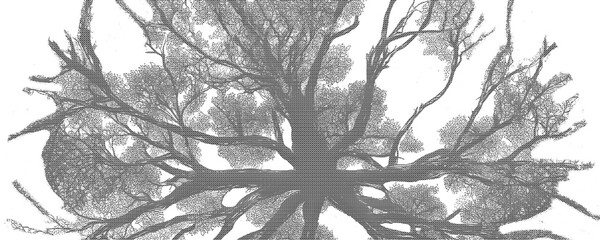 A large tree with sprawling branches and roots stands alone in a desolate landscape. © Zakir