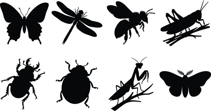 Insects and bugs vector silhouette collection featuring butterfly dragonfly honey bee grasshopper stag beetle ladybug mantis and moth