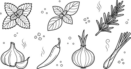 Herbs and cooking spices line art set featuring mint basil rosemary garlic chili onion and lemongrass © Sabbir Studio