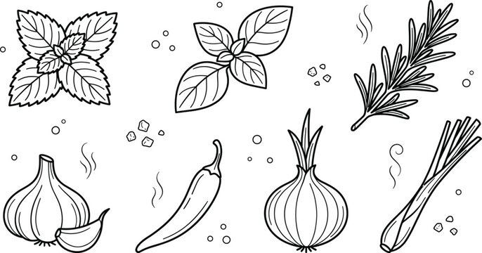 Herbs and cooking spices line art set featuring mint basil rosemary garlic chili onion and lemongrass