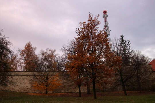 Forest Valley in the Czech Countryside