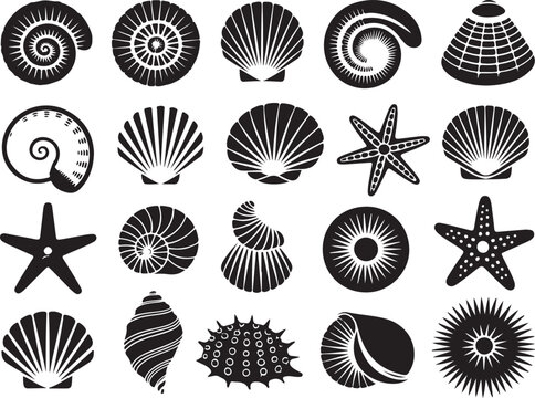 Collection of diverse sea shells and marine animals including starfish and urchins for coastal themes on gray grid background.