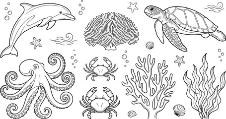 Cute sea animals coloring page vector illustration set with turtle dolphin octopus crab and coral reef © Sabbir Studio