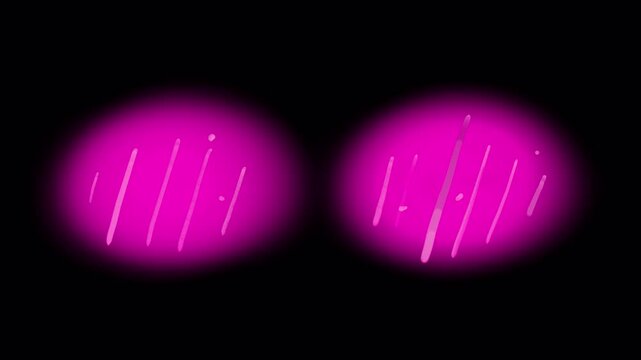 Effect of cuteness and shyness on a black screen. Animation of pink cheeks for overlay in 4K with alpha channel. Effect of a shy and awkward person in anime style.